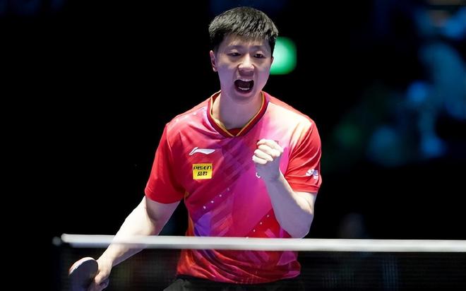 但布登的执 但布登的执