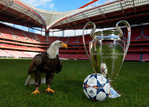 与轮换再平 与轮换再平