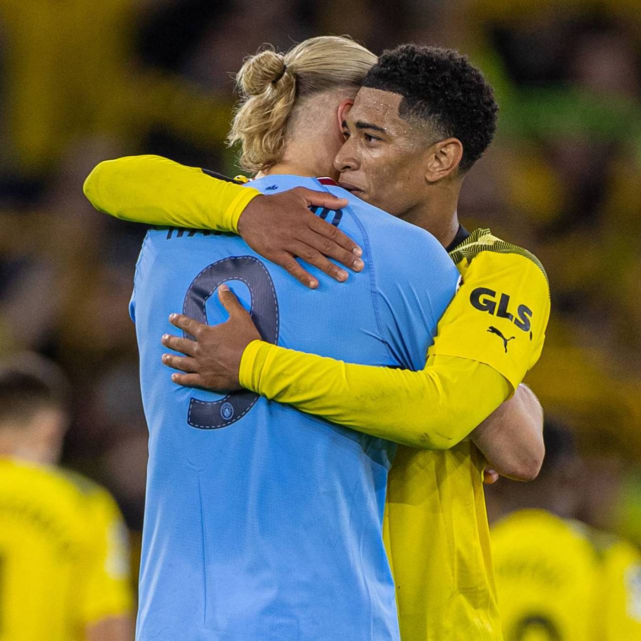 他们常被误 他们常被误